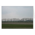 Holland Polder Landscape Photo Card
