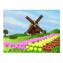 Holland Tulips Post Cards