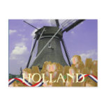 Holland Windmill Orange Tulips Postcard