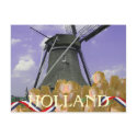 Holland Windmill Orange Tulips Postcard