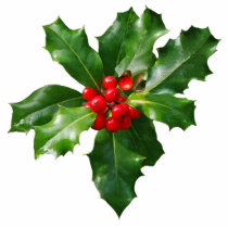 Holly Berries Christmas Photo Sculpture