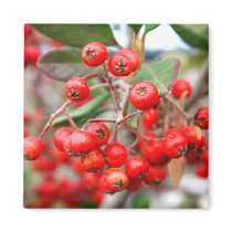 Holly Berries Magnet