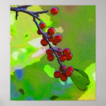 holly berries print