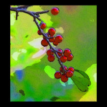 holly berries posters