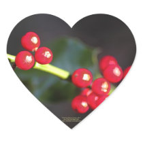 holly berry macro, heart