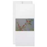 Holly berry stem against grey background rack cards