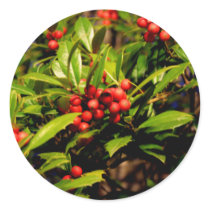 holly berry round stickers