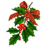 Holly Branch and Bow t-shirts