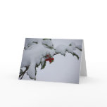 Holly Cards