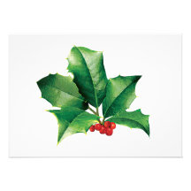 Holly Cluster Invitations