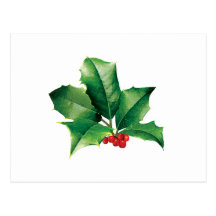 Holly Cluster Postcards