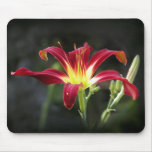 Holly Dancer mousepads