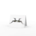 Holly & Ivy Reindeer cards
