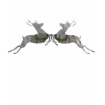 Holly & Ivy Reindeer t-shirts