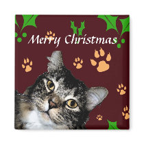 Holly Paws Magnet