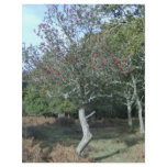 holly tree in New Forest Personalized Flyer