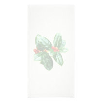 Holly With Berries Custom Photo Card