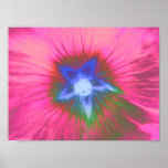 Hollyhock Flower Pink Velvet Print