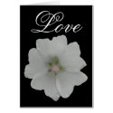 hollyhock, Love card