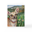 Hollywood Chihuahua love cards