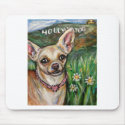 Hollywood Chihuahua love mousepads