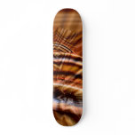 HollyWood skateboards