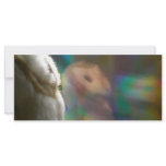 Holo-Hootin' Annies Big Bookmark rack cards