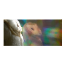 Holo-Hootin' Annies Big Bookmark Full Color Rack Card