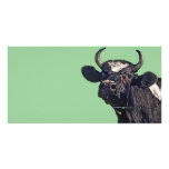 Holstein Cattle Gift photo cards