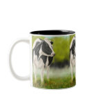 Holstein Cow Mug
