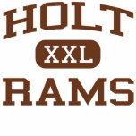 Holt - Rams - Holt High School - Holt Michigan t-shirts