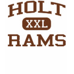 Holt - Rams - Junior High School - Holt Michigan t-shirts