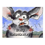 Holy Chincholey Cartoon Postcard