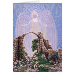 Holy Ground, by Darlene P. Coltrain cards