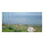 Holy Land Scenes and Images from Israel photo cards