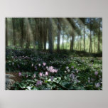 Holy Land Spring Poster posters