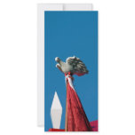 Holy Spirit rack cards