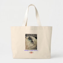 Homage to Andean Women/Bag