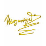 HOMAGE TO MOZART t-shirts