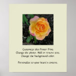 Home and Garden ~ Flowers ~ Peach Rose