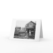 Home Cats Fairbanks Alaska 1916 Card