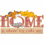 Home Is Where My Cats Are photo sculptures