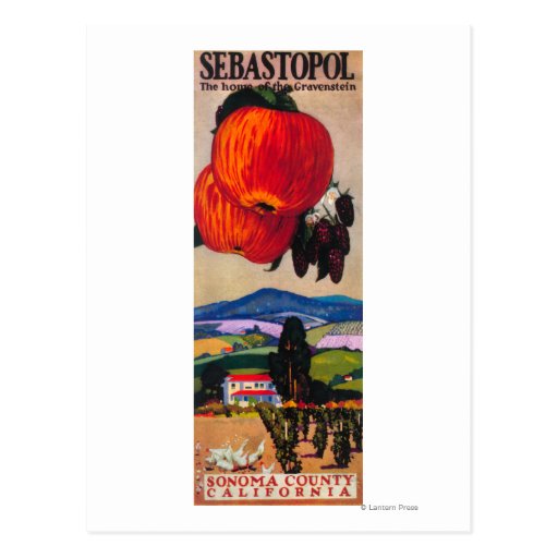 Home of the Gravenstein Poster Postcard