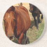 Home on the Range Coaster