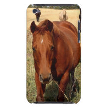 Home on the Range iTouch Case iPod Touch Cases