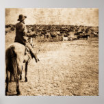 Home on the Range posters