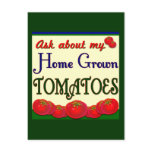 Homegrown Tomato Garden Slogan postcards