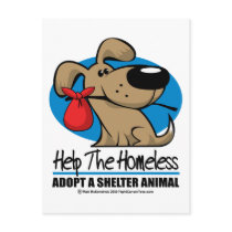 Homeless Pet Postcards