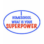 Homeschool Super t-shirts