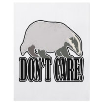 honey badger dont care full colour flyer